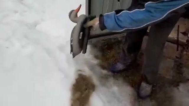 Чучела уток . Мучаем их как Ярик Андерссон научил 🤓😃👍👍 смотреть онлайн