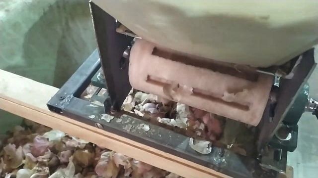 Як ШВИДКО РОЗДІЛИТИ часник на зубки? Готуємося до посадки. смотреть онлайн