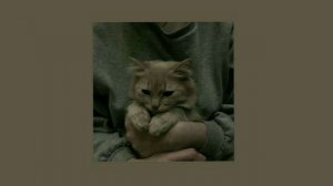 ||flëur||тёплые коты ((speed up))☆_☆