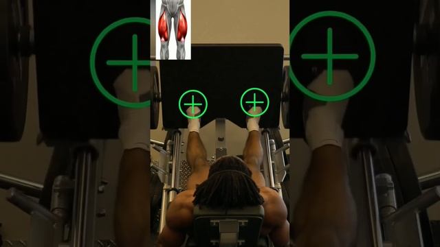 leg press tip #legday #gym #trending #shortsyoutube #bodybuilding #cbum #arnold #reels #viral #leg