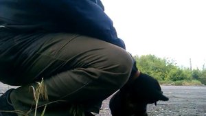 тестирование щенка ротвейлера 3,5мес . как начинать дрессировку ?