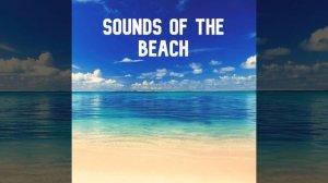 Sounds of the Beach, Pt. 12 (Relaxing Nature Recording)