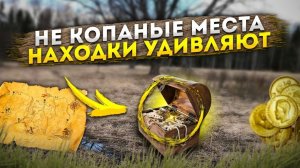 Не копанные места. Находки удивляют.