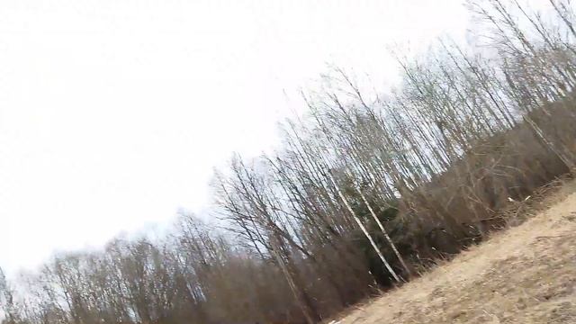 КОП Беларусь р Полота д Янково смотреть онлайн