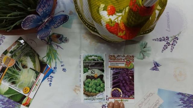 Капуста брюссельская: выращивание, посадка и уход. смотреть онлайн