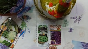 Капуста брюссельская: выращивание, посадка и уход.