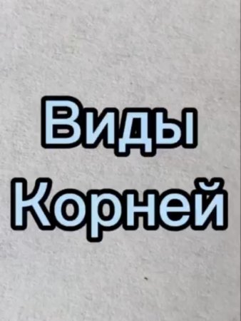 Виды корней