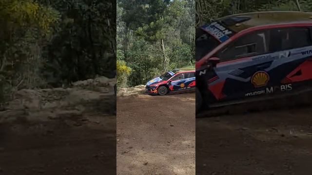 tests dani sordo wrc portugal 2023 maximun attack,pure sound