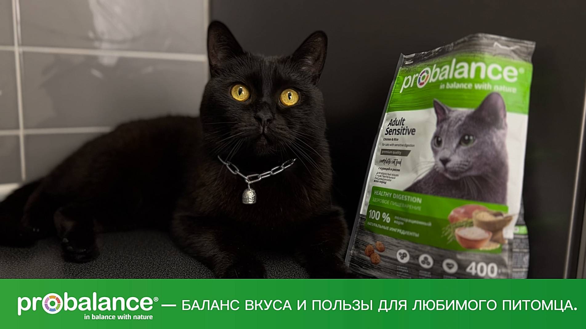 Probalance и Тайсон смотреть онлайн