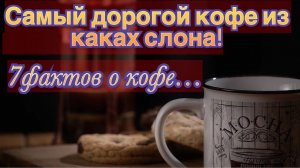Самый дорогой кофе в мире из какашек слона. И топ 7 фактов о кофе