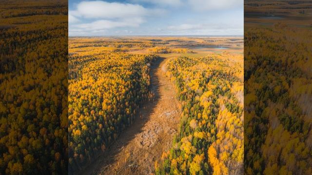 Успокаивающий глубокий сон Коричневый... смотреть онлайн