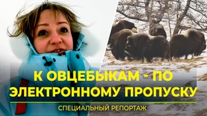 В ямальском парке «Ингилор» ввели электронные пропуска. Как это работает