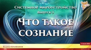 Что такое СОЗНАНИЕ. Системное Мироустройство. Вадим Герливанов. Выпуск 3.