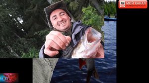 Карелия  Рыбалка на Водлозере