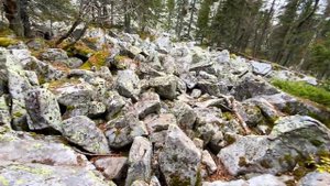 Гора Пески. Новая экотропа на хребет Большая Сука из Петропавловки.