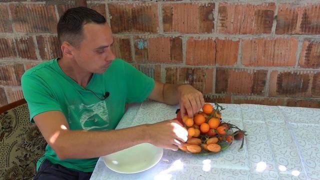 ВКУСНЕЕ ТОМАТОВ ВЫ НЕ ПРОБОВАЛИ! /  ДЕГУСТАЦИЯ ТОМАТОВ  КОМПАНИИ ПАРТНЁР