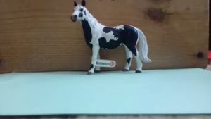 МО Пинто кобыла Schleich.