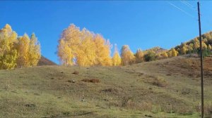 НИВЫ СЖАТЫ, РОЩИ ГОЛЫ.mp4