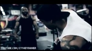 Плюшевая борода, придерживаясь этому правилу, вы быстро накачаете бицепс