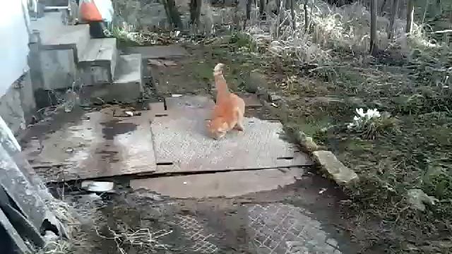 Еду на дачу урааа эти просторы веселье смотреть онлайн