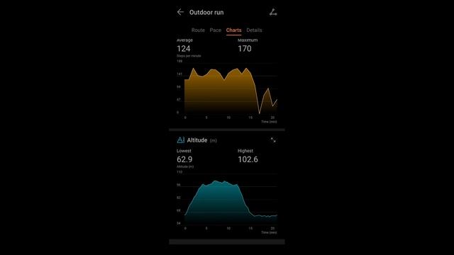 Huawei Watch GT 2E ( vs GT 2) смотреть онлайн