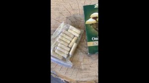 Эксперимент: выращиваем опята на даче