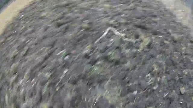 Трактор Т-25 с самодельной фрезой . Тяжолое фрезерование цилины на сенокосном участке .