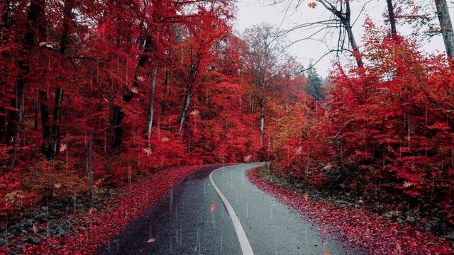 13. Осеннее Настроение. Autumn Mood