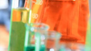 Water Pollution Effects on the Environment