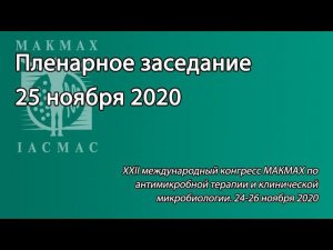 Пленарное заседание 25 ноября 2020