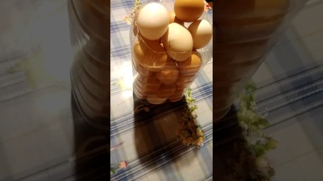 Освободилась 5 или 3 литровая пластиковая бутыль из-под подсолнечного масла. Что с ней делать? смотреть онлайн