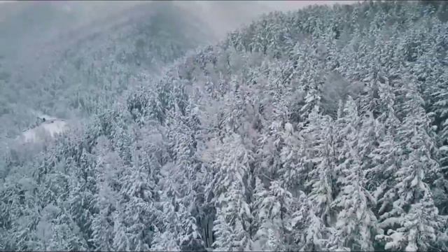 Зима #временагода #снег