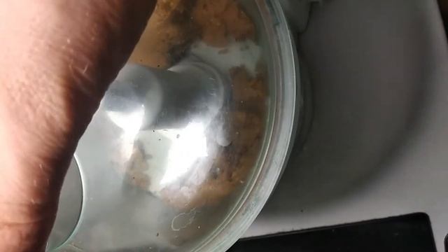 Домашняя АРАХИСОВАЯ Паста! Как приготовить арахисовую пасту?!