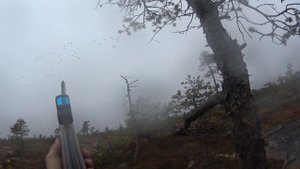 операция Гусь