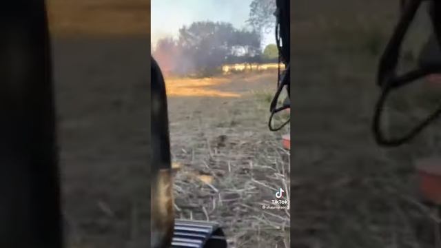 Красивое замыкание дерева