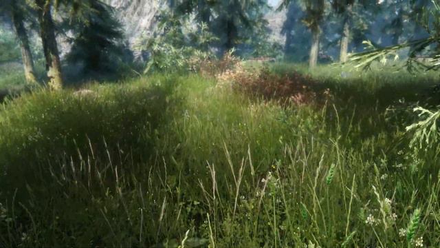 GTX 1070 - Skyrim Aeon ENB смотреть онлайн