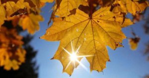 Стихотворение: "ПЕРЕД ДОРОГОЙ". Читает автор — Елена Артёменко. Запись: сентябрь, 2020 года.