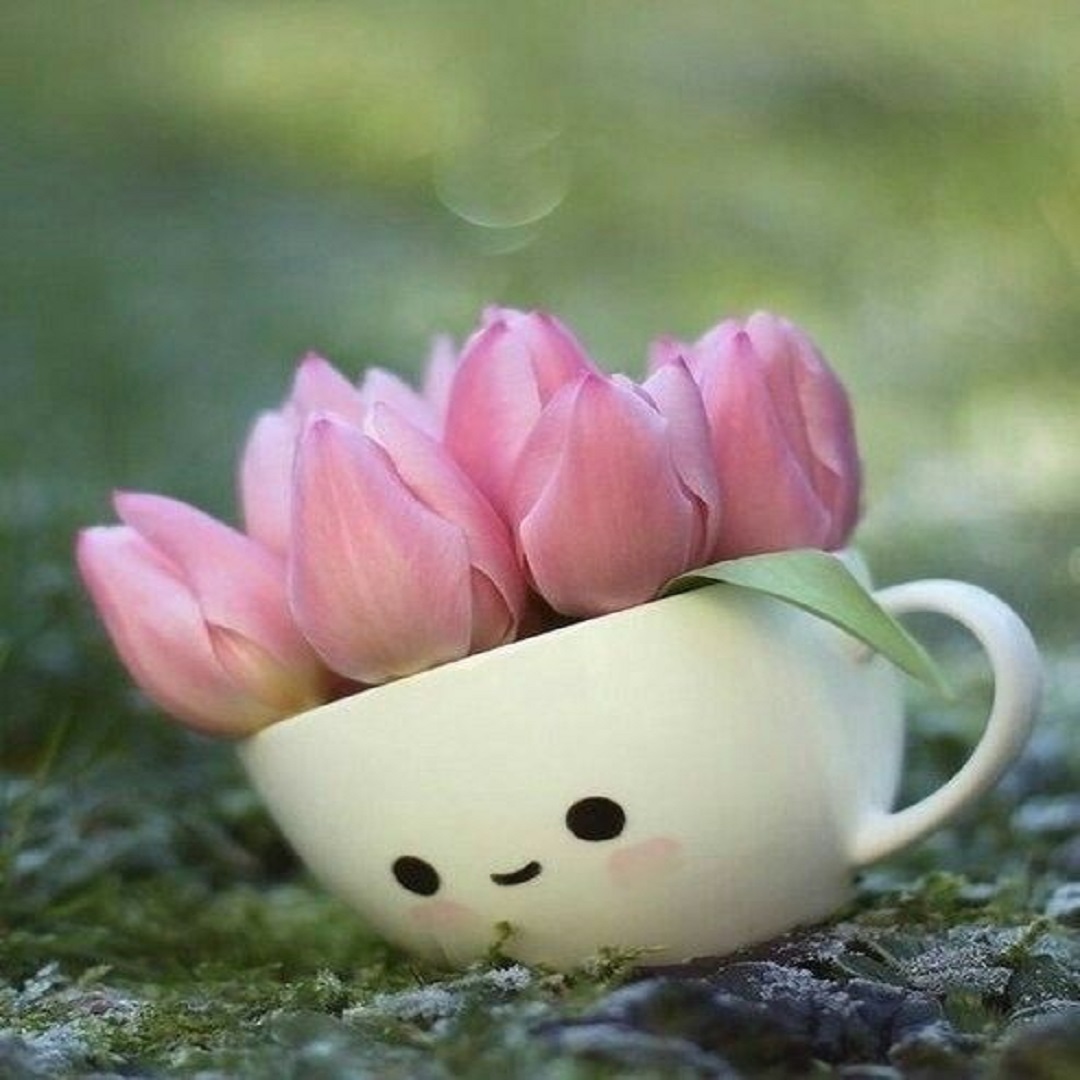 Тюльпаны в чашке