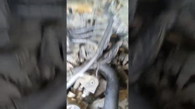 Kia picanto Ta, control engine nyala #kiapicanto смотреть онлайн