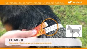 Шлейки для собак Ferplast - Как правильно снять мерки с вашей собаки при выборе шлейки