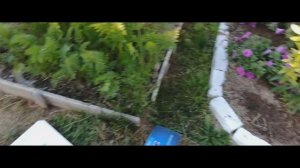 Лучший насос для полива огорода