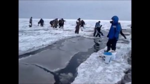 Не пингвины  Ну за рыбалку