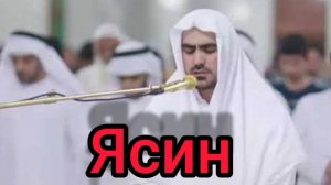 Сиратулло Раупов  Сура  Ясин