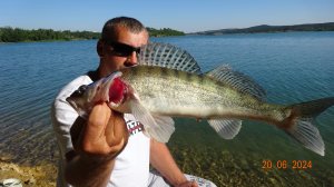 Ловля Судака и Сход жирной щуки.Лето.2о24.