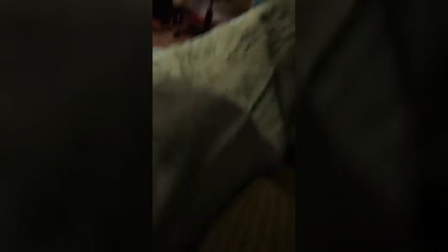 Анонимус умирает от поноса смотреть онлайн