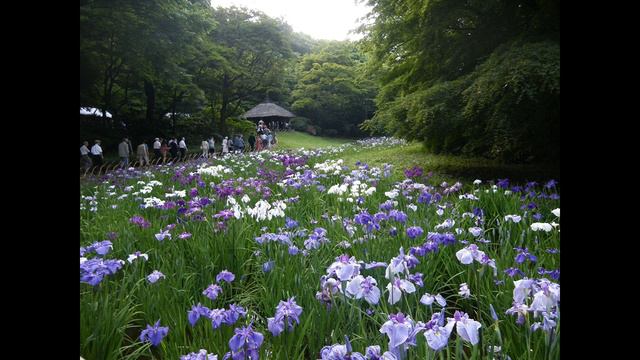 Радость и горе пополам смотреть онлайн