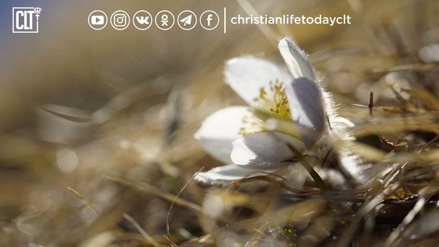 Господи, верни нам милость твою | Псалом 59 | Библия смотреть онлайн