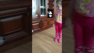 Щенок корги знакомится с ребенком / Реакция щенка на ребенка / Корги