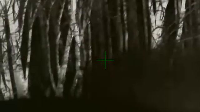 lov kňoura смотреть онлайн