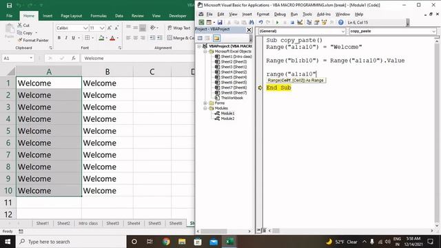 #excelvba #excelvbatutorial     Copy & Paste in Vba Macro Programming specially for Beginner
